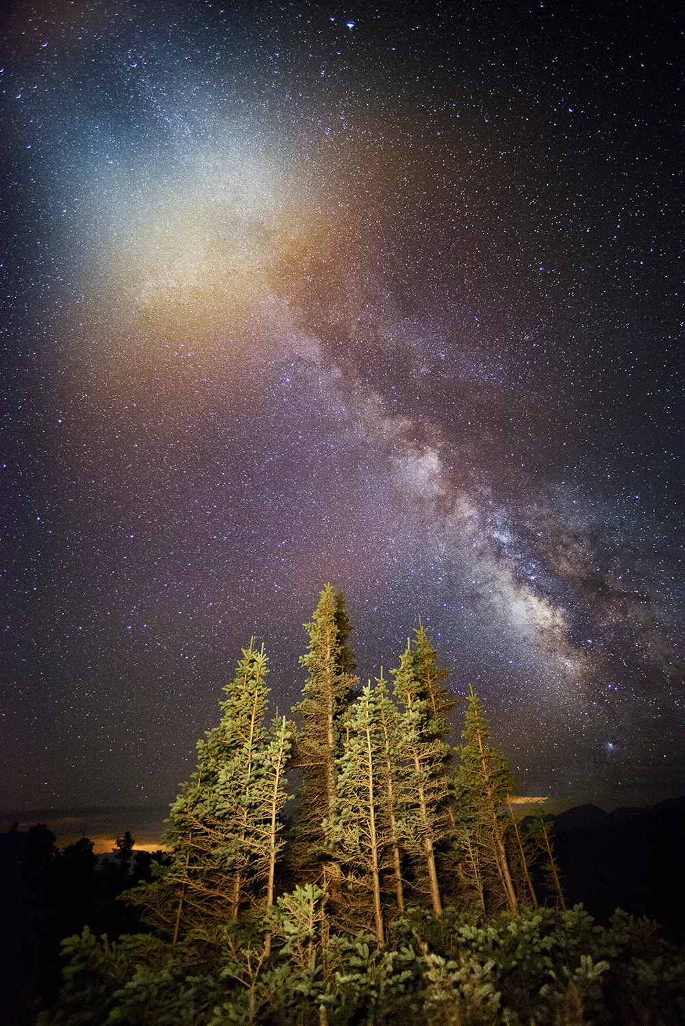 MilkyWayPines copy copy.jpg