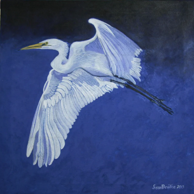 “Blue Egret”