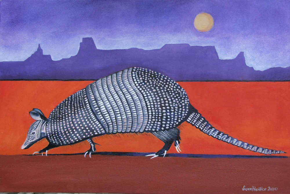  "Armadillo" 30"x20" 