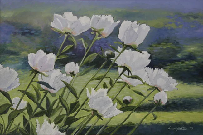 "White Peonies" 24"x16" 