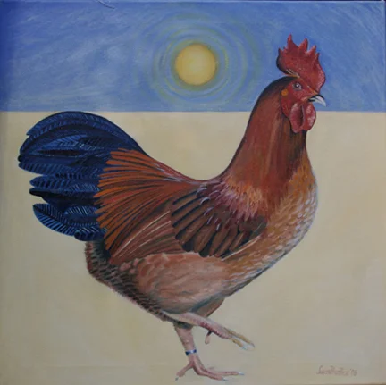 "New Hampshire Red" 26"x26"