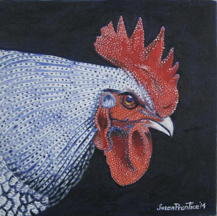 "French Cuckoo Marans" 12"x12"
