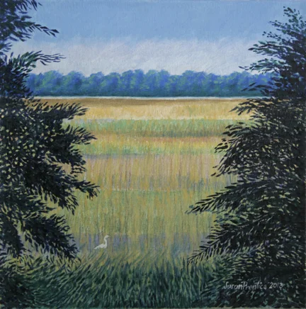 SaltMarsh1.jpg