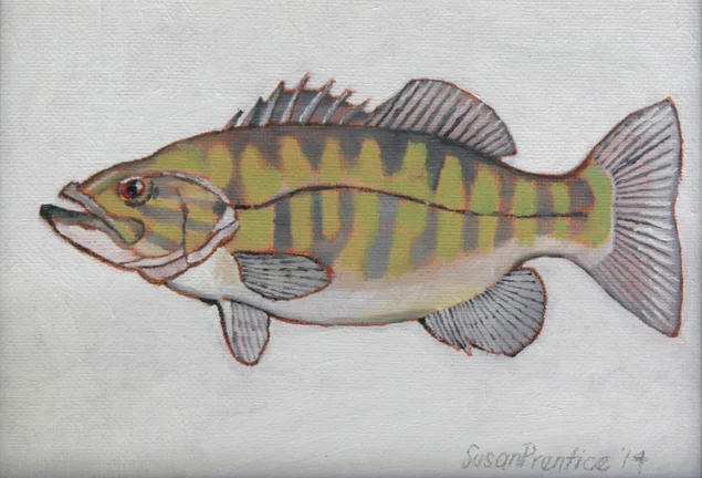  "Largemouth Bass" 7"x5" 