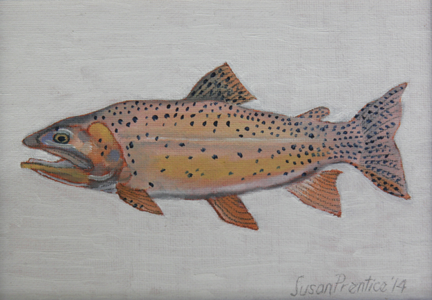  "Yellowstone Cutthroat" 7"x5" 