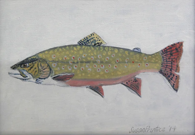  "Brook Trout" 7"x5" 