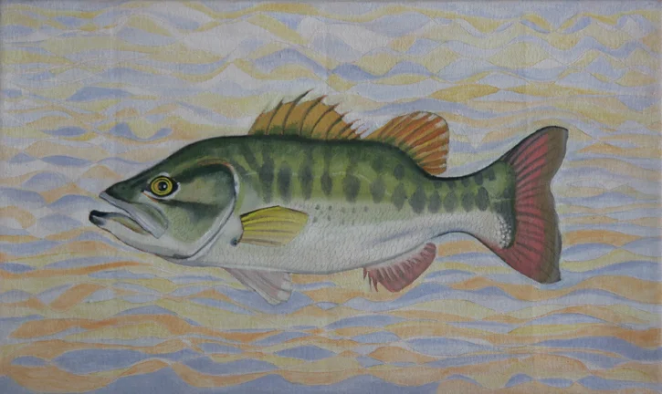  "Largemouth Bass" 20"x12" 