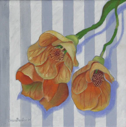  "Albutilon" 12"x12" gallery wrap canvas 