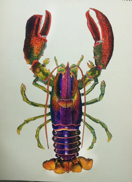"Lobster"