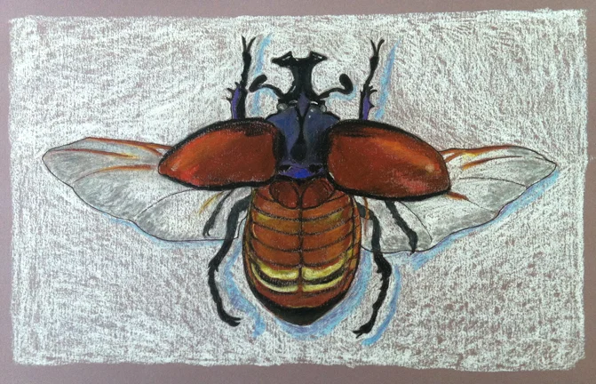 "Winged Scarab"