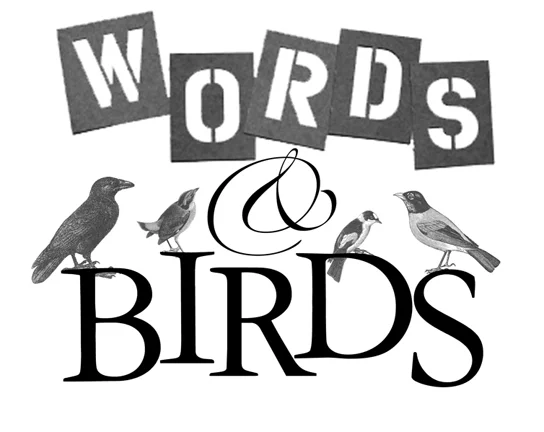 birds graphicW.jpg