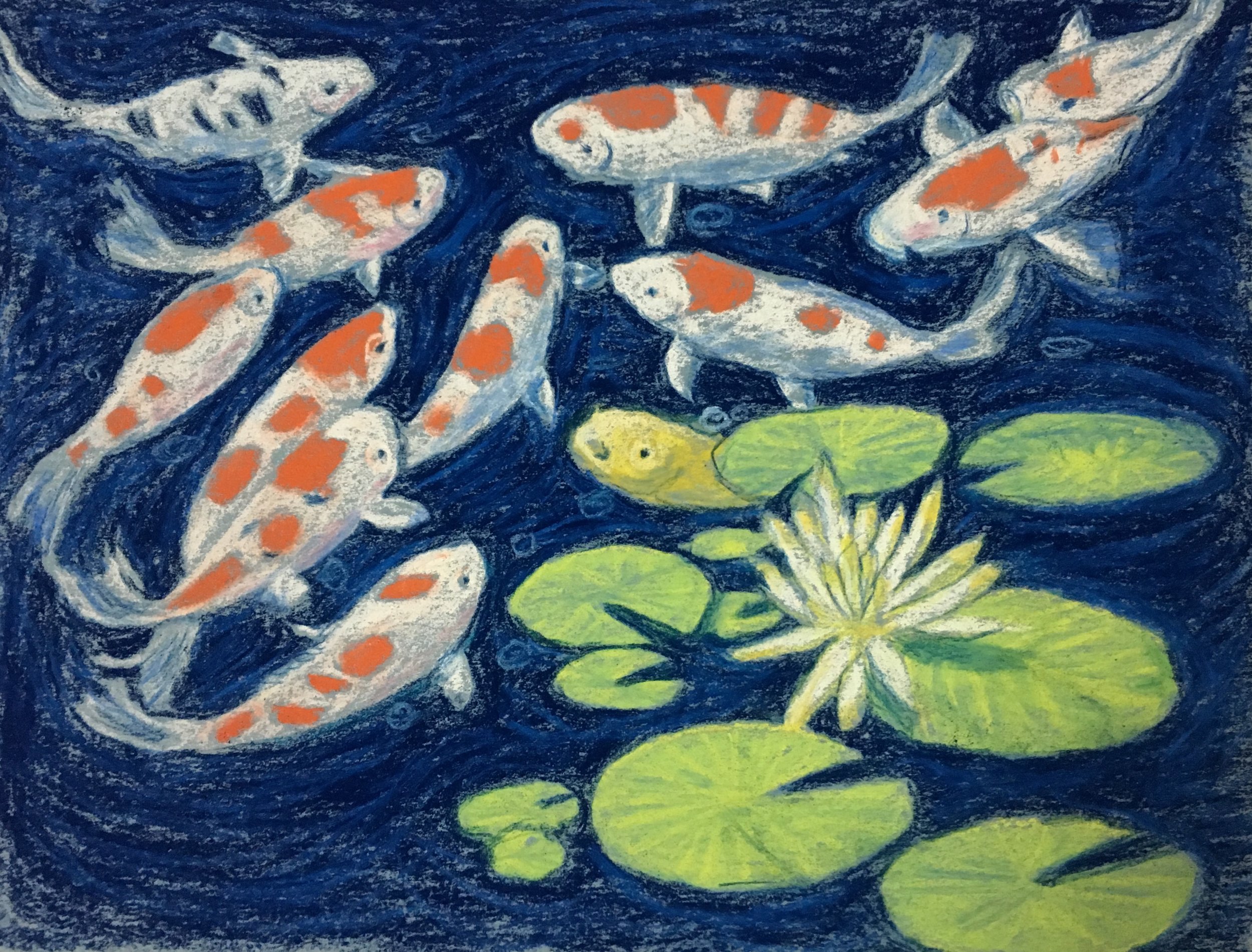 Koi Pond
