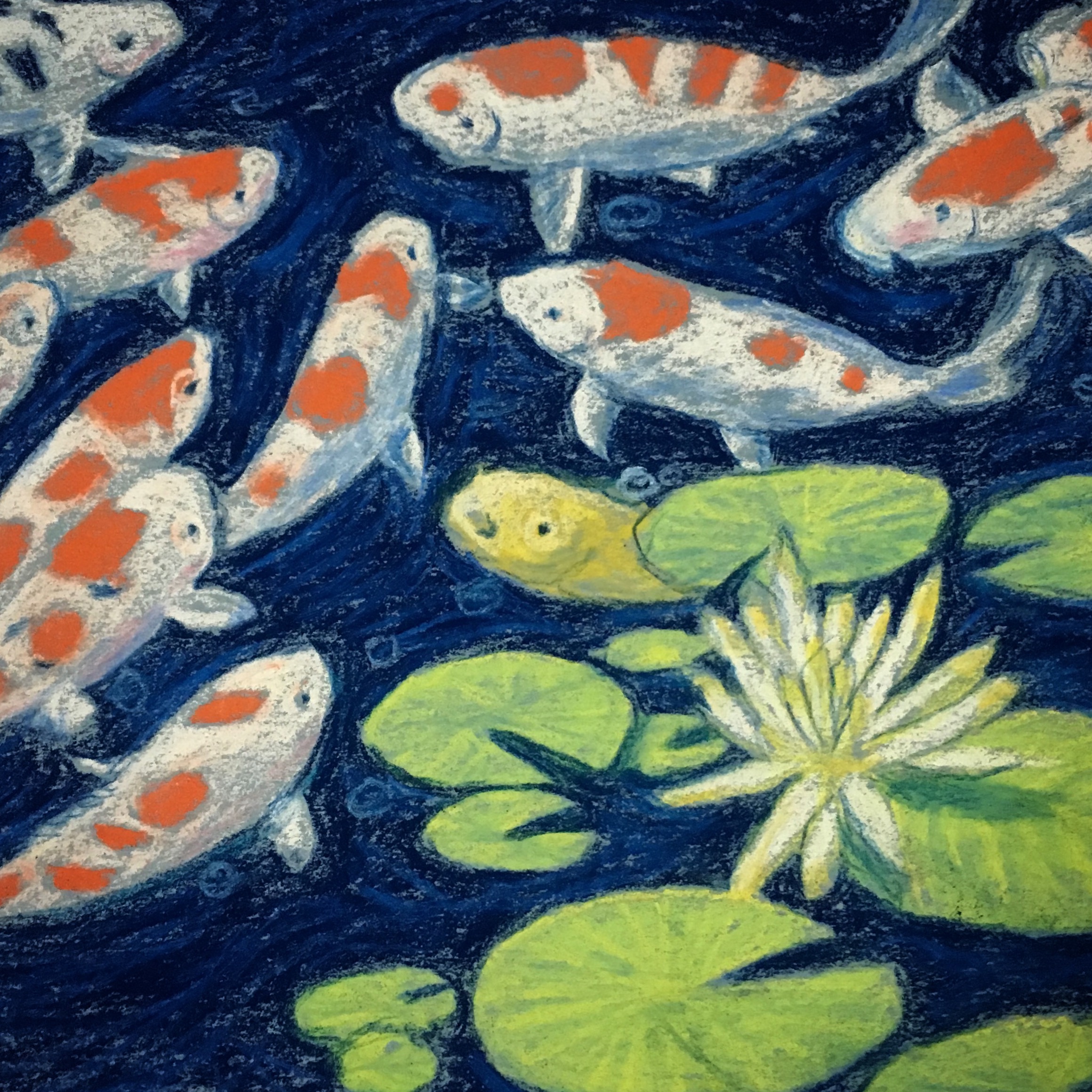Koi Pond