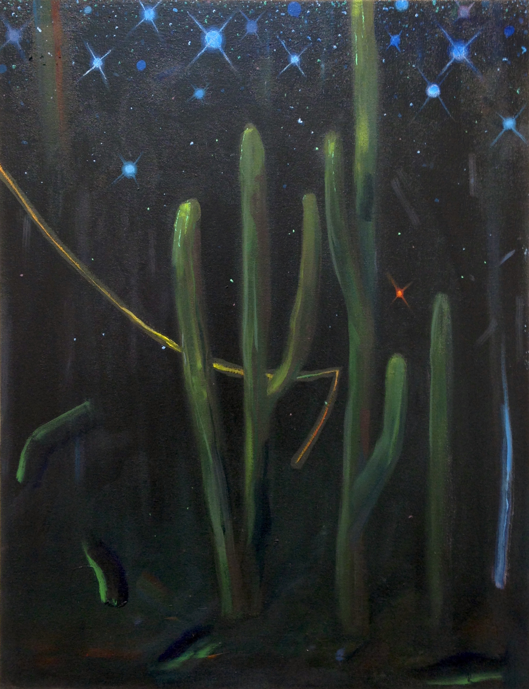 Untitled (Cacti)