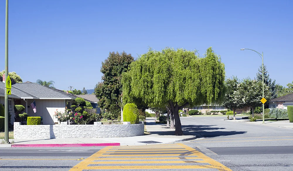 Cherry Ave. San Jose, CA.