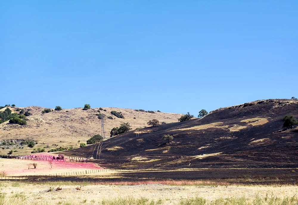 Scorched. New Almaden, CA.