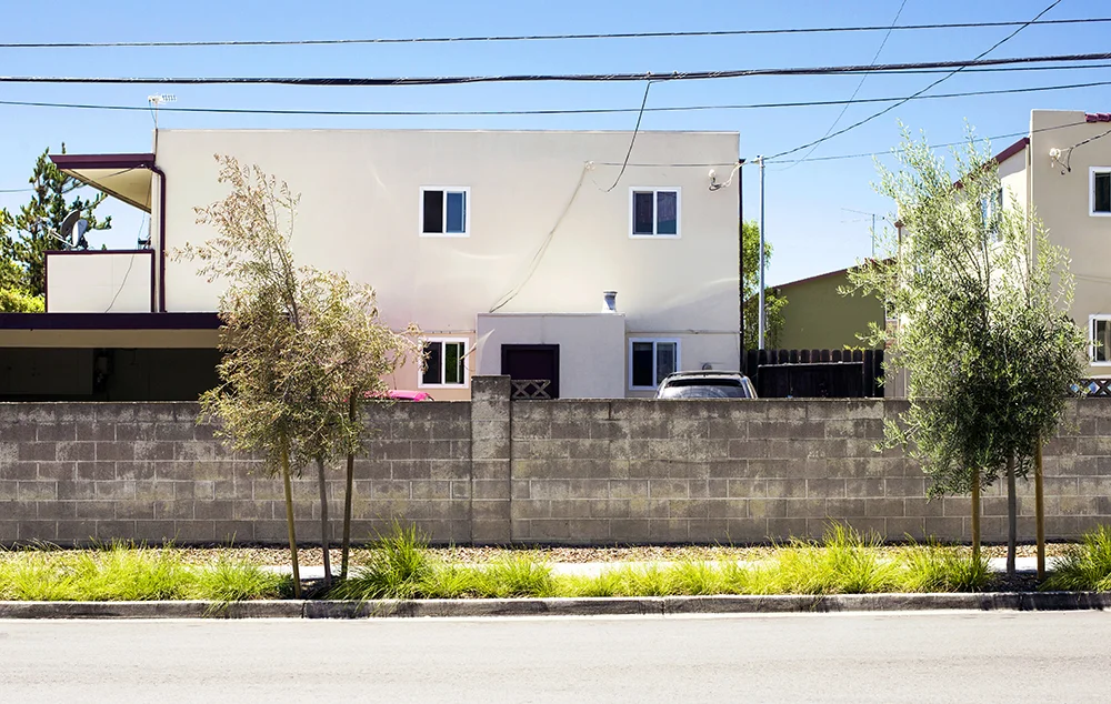 Bandley. Cupertino, CA.