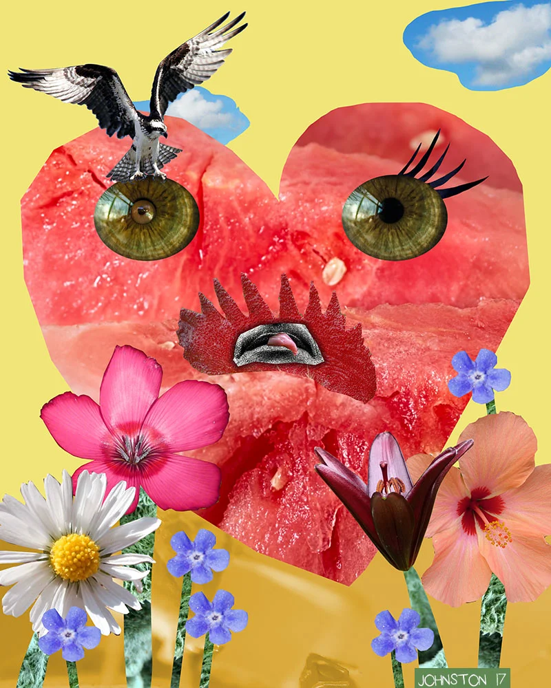 Laura Johnston Sourpuss Kids Digital Collage 2017