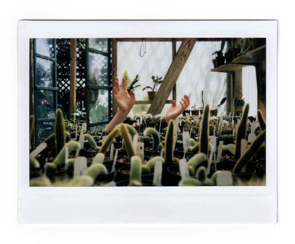 Cactus Hands
