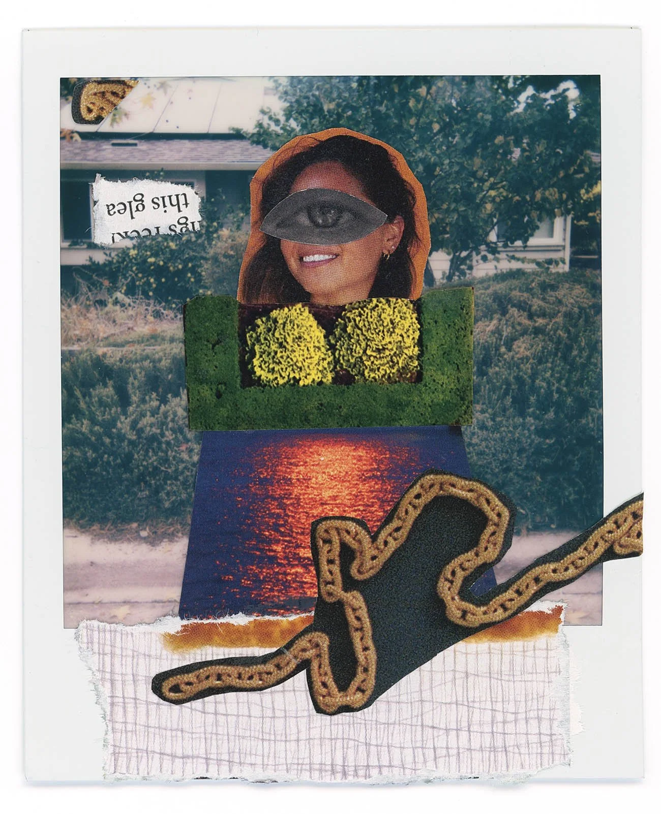 Snake