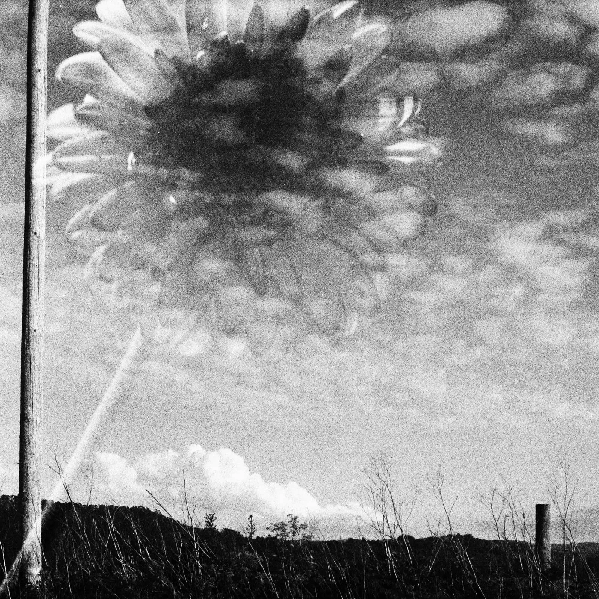 Abinav Thakuri, "Blooming"