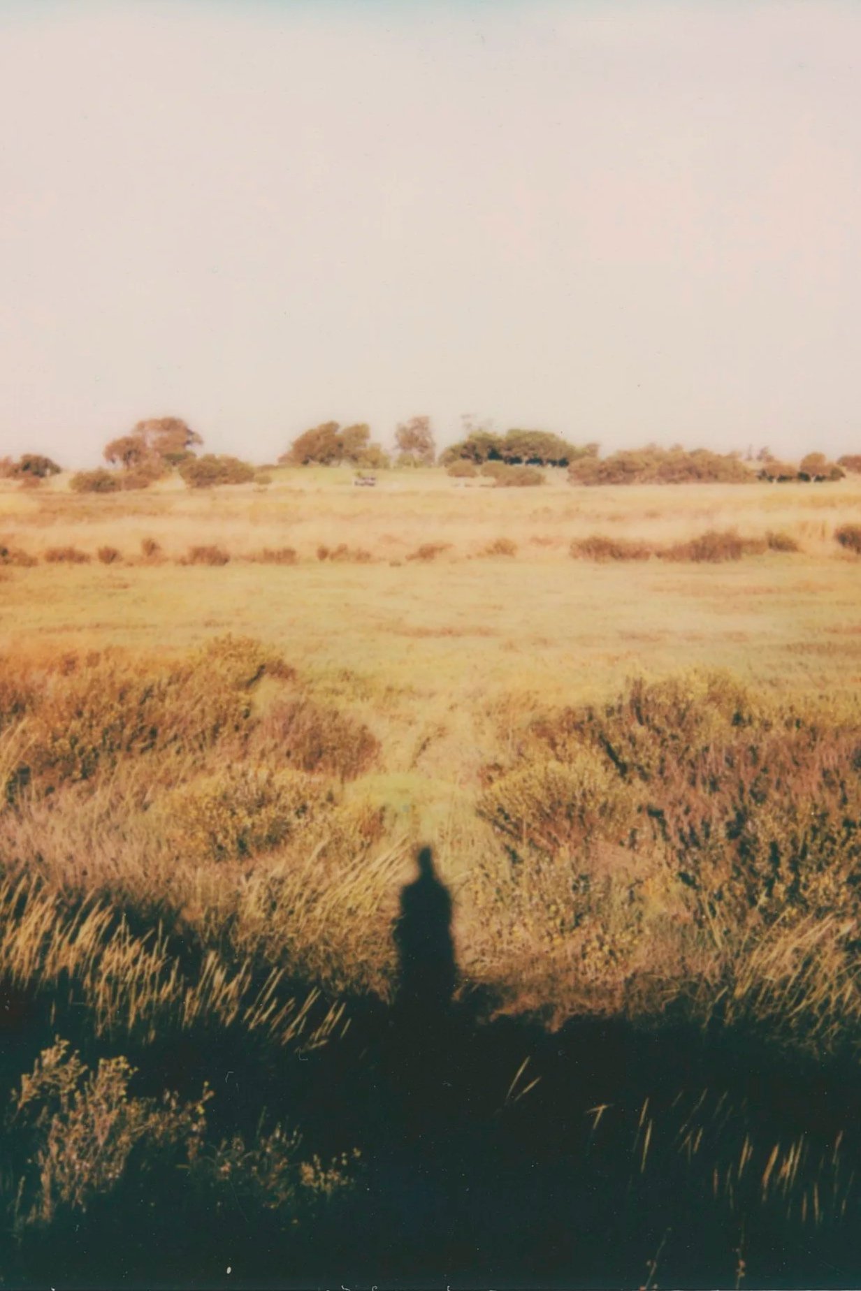 Instant Photography