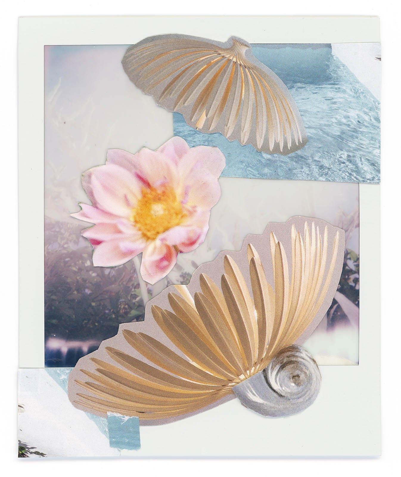 (SM) Venus.jpg