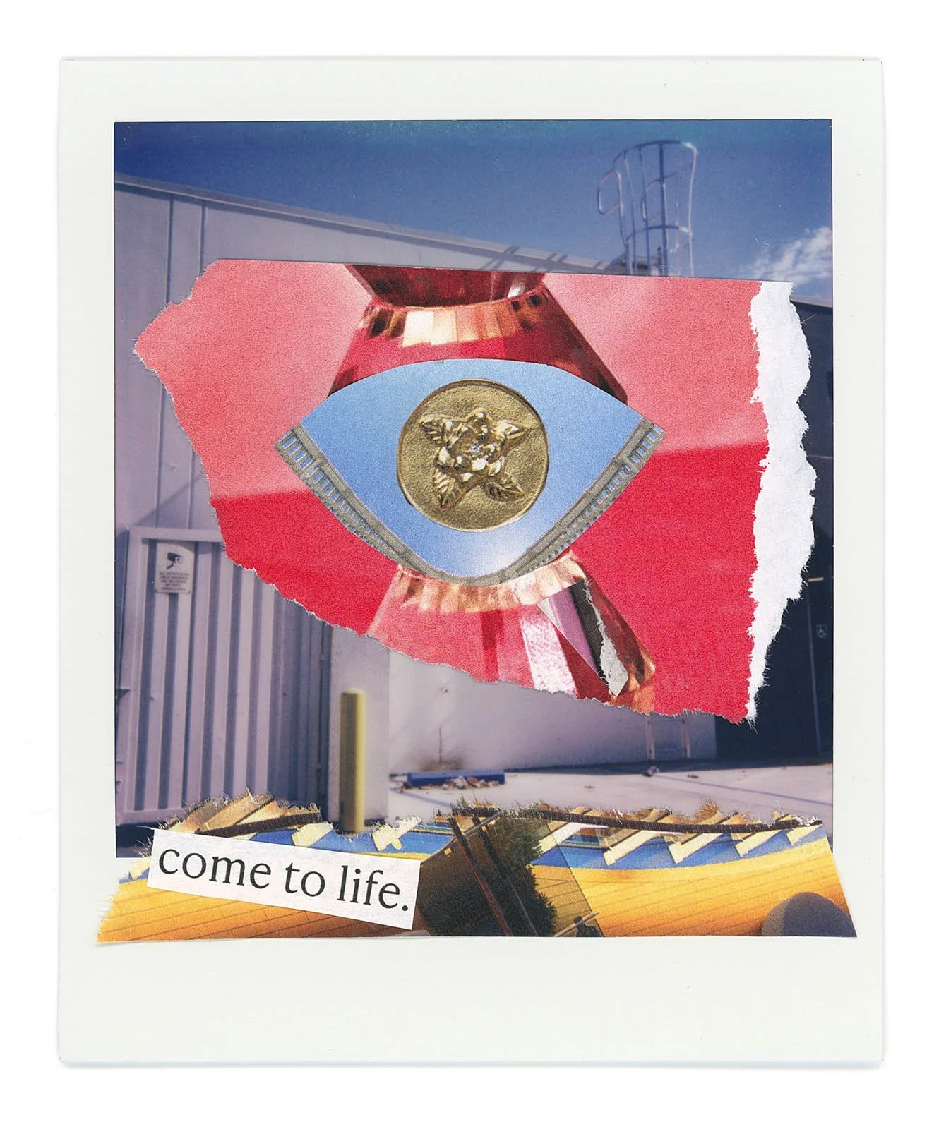 (SM) Medallion.jpg