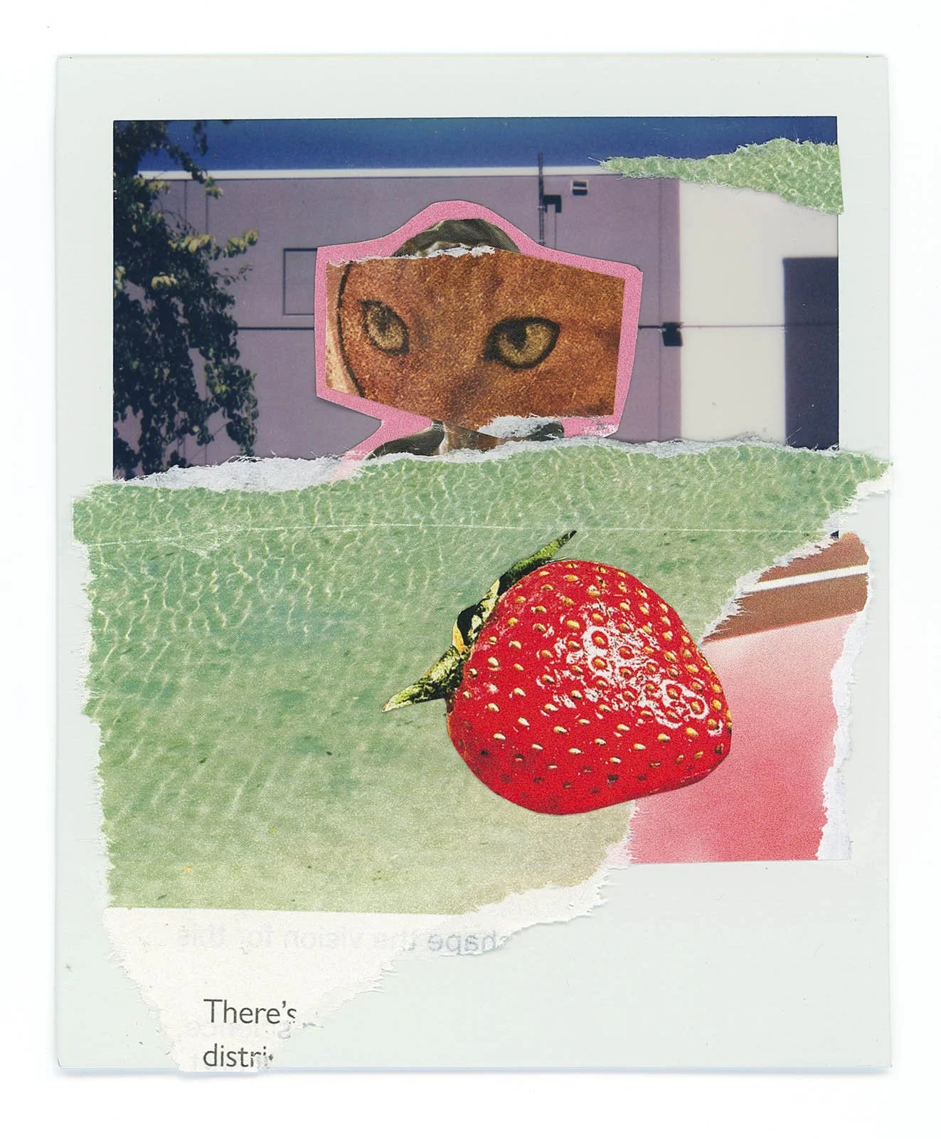 (SM) strawberry.jpg