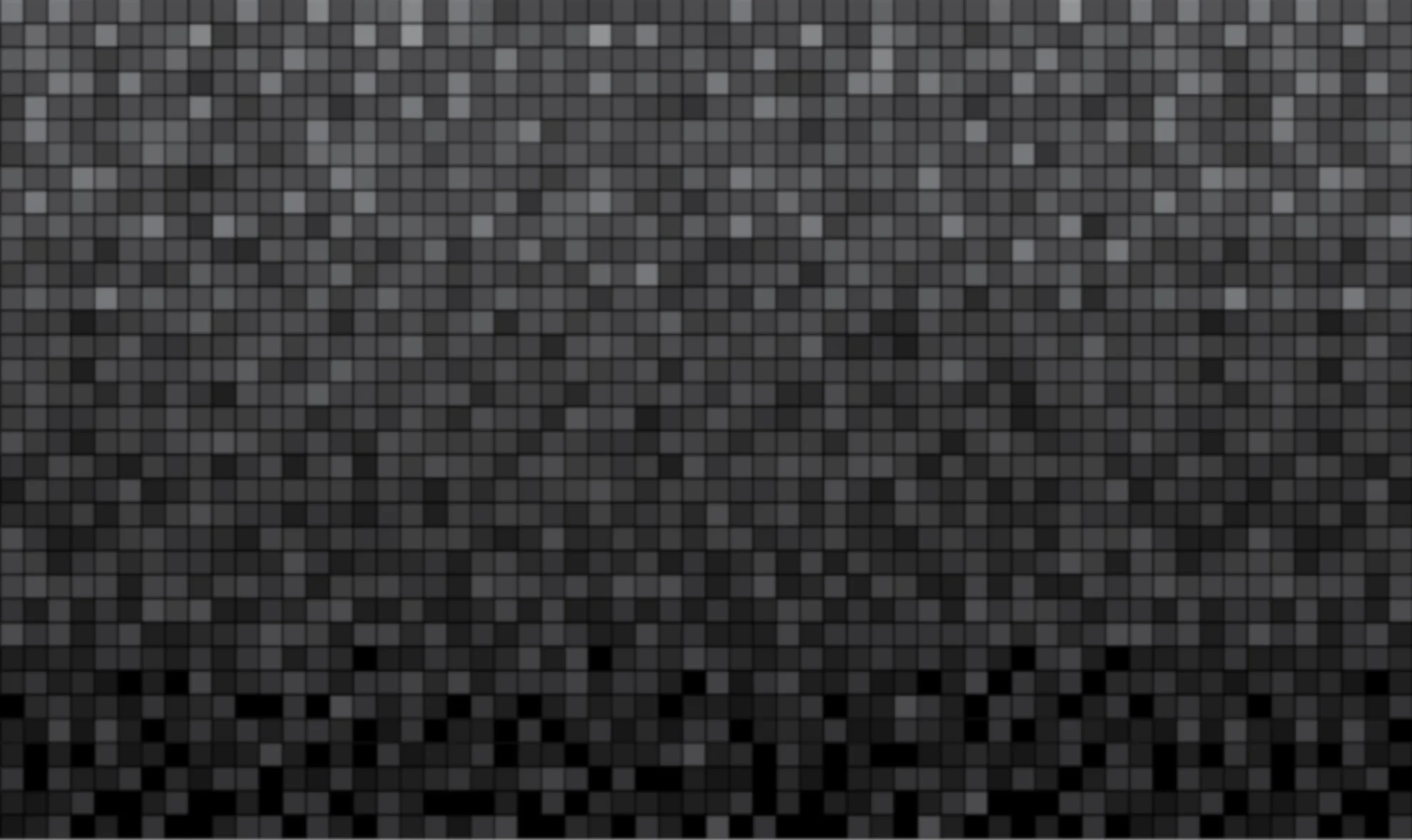 grey back2.jpg