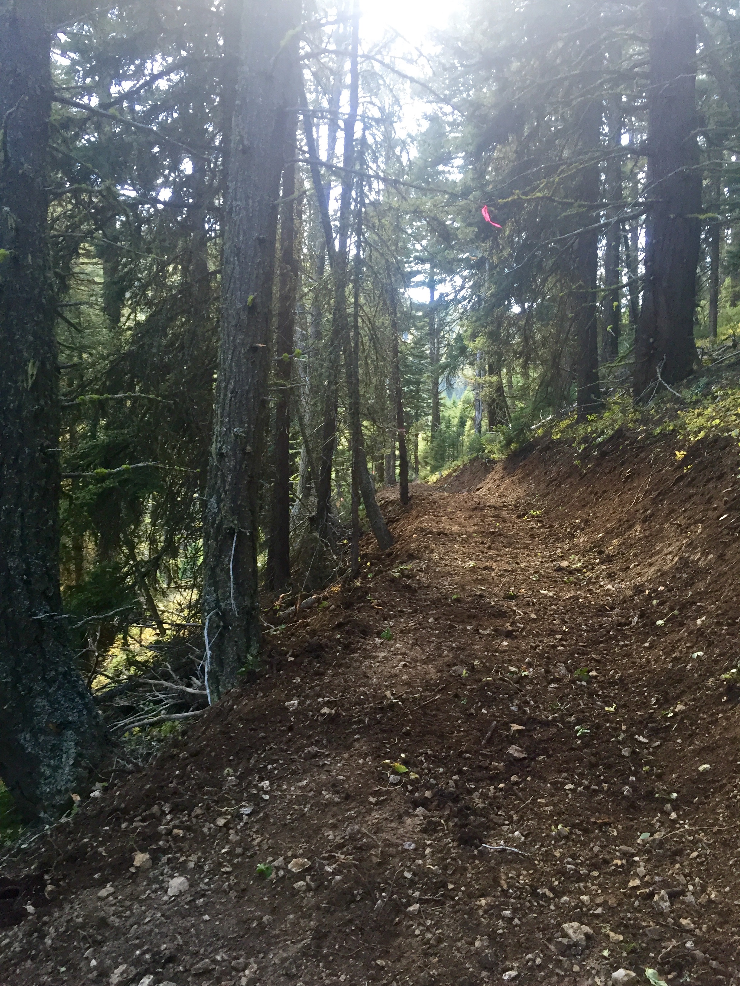 Full Bench trail construction .Logging Creek ,MT