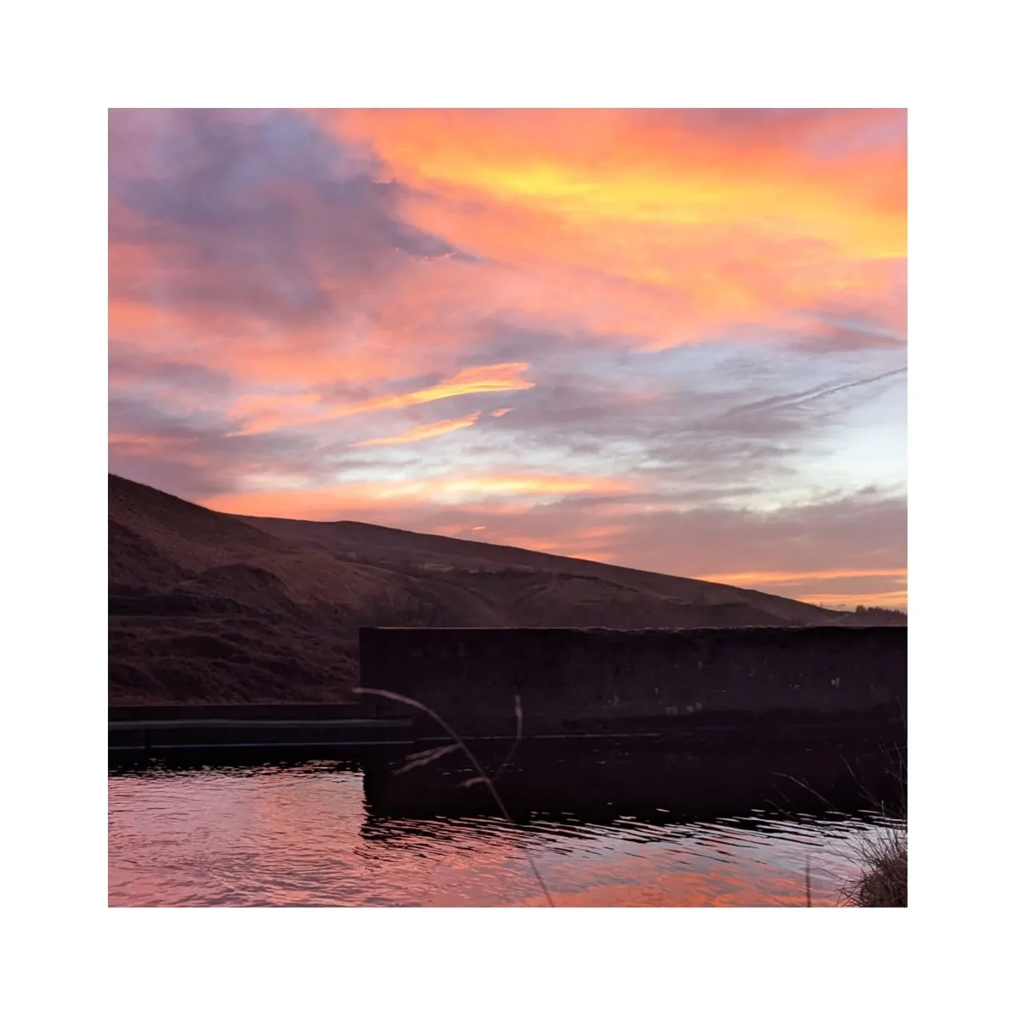 Dec 2025.
Eat, drink and be merry, in no particular order!
#friends #family #lucky #christmas
#lemonpebbledesign