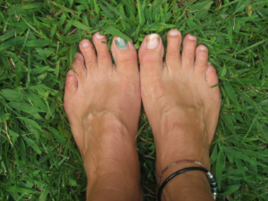  Muladhara&nbsp;– EarthWhere we come from........and to where we return. &nbsp;Here we findthe stillness, quiet and our natural state of relaxation.