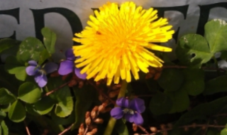 &nbsp;MANIPURA– FireOur heat and inner power.&nbsp; Movementtoward what we desire.