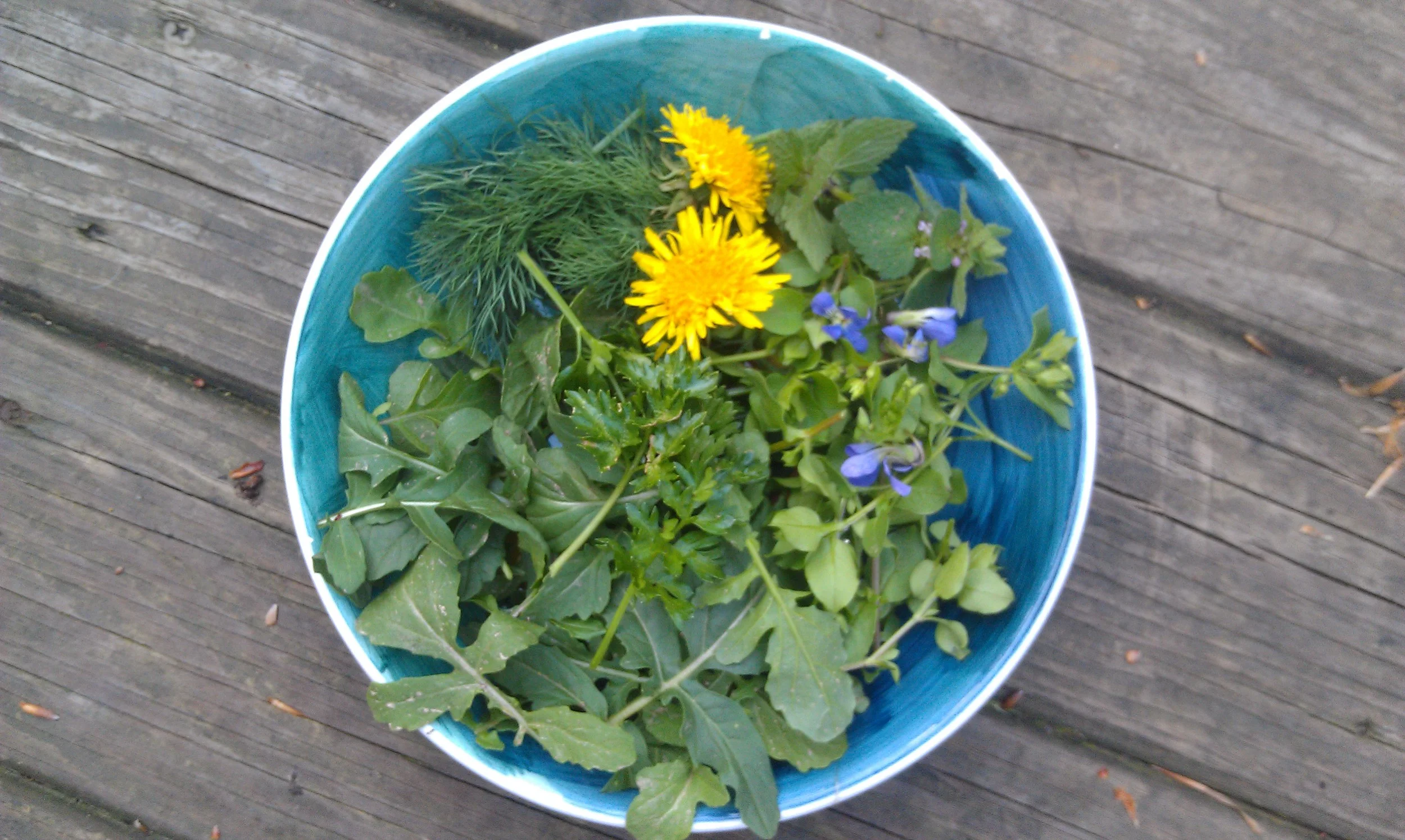 Lawn Salad.jpg