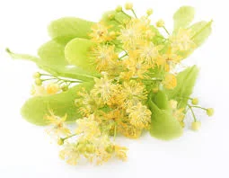 &nbsp; Linden Flower (Tilia)
