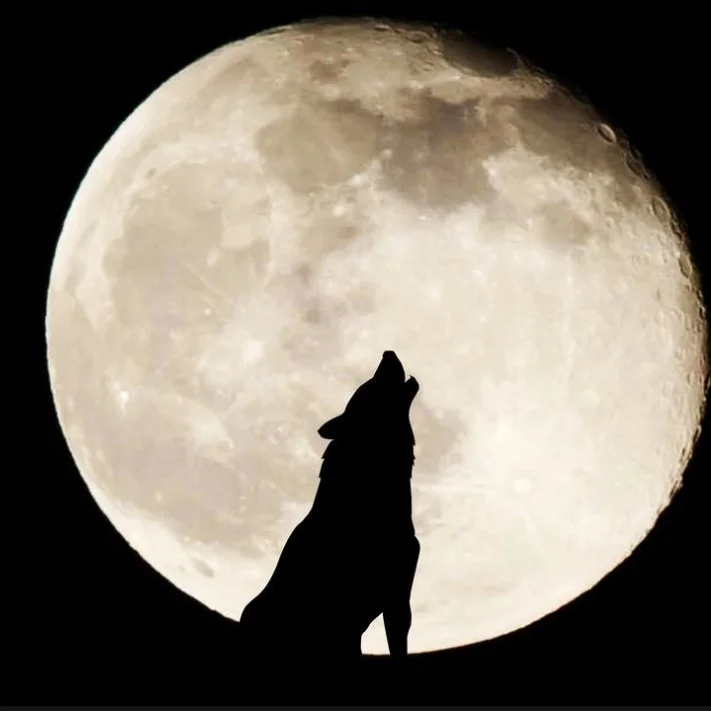 A full moon celebration co-hosted by Yolanda Martinez and Serenity Circle Yoga! For more on Yolanda visit http://yolandasdrums.com/The evening will begin with a 7 direction movement meditation which is accessible for all. Yolanda will then smudge ea…