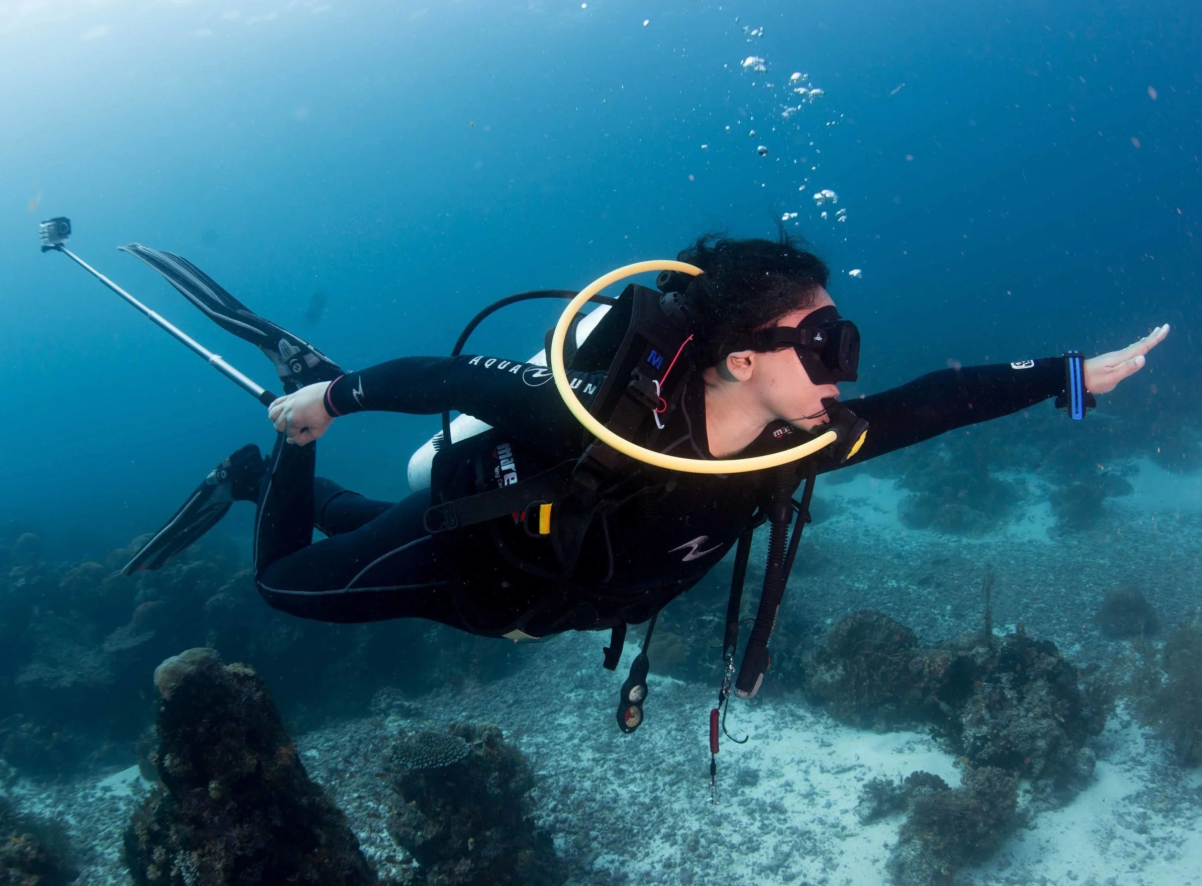 MERMAID Beta launched on World Oceans Day, June 2019. Read more about why our field users love MERMAID!
