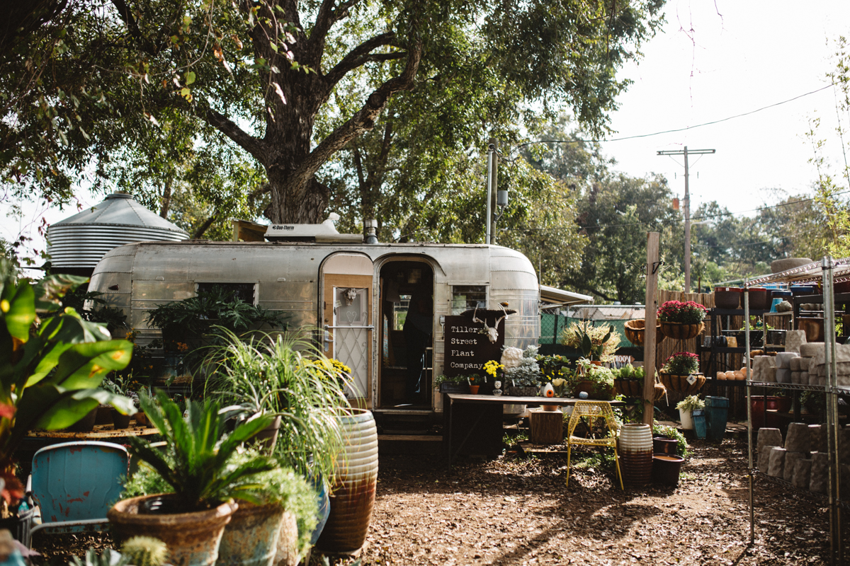 tillerystreetplantcompanyengagement.jpg