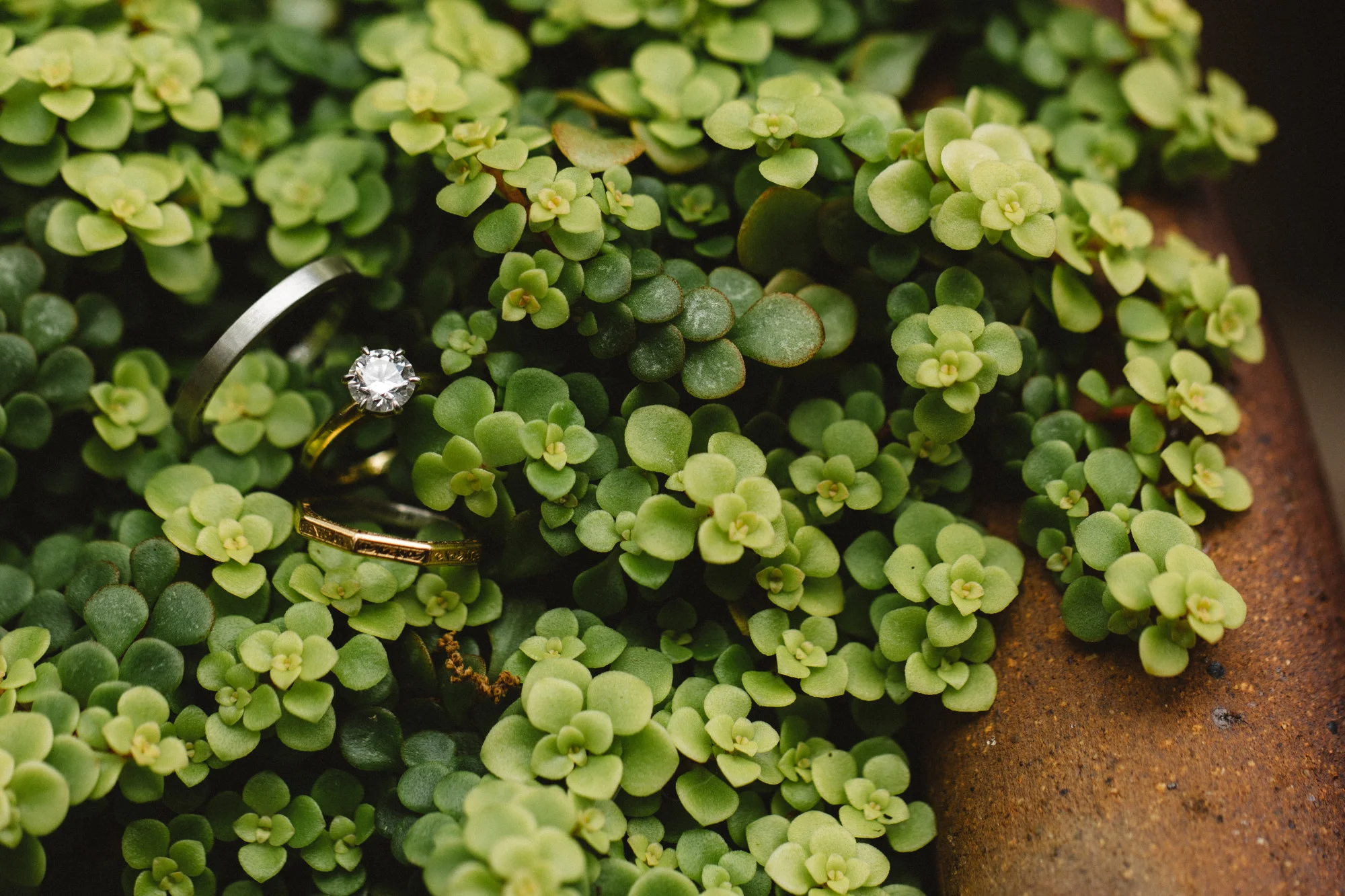 austinoutdoorwedding69.jpg