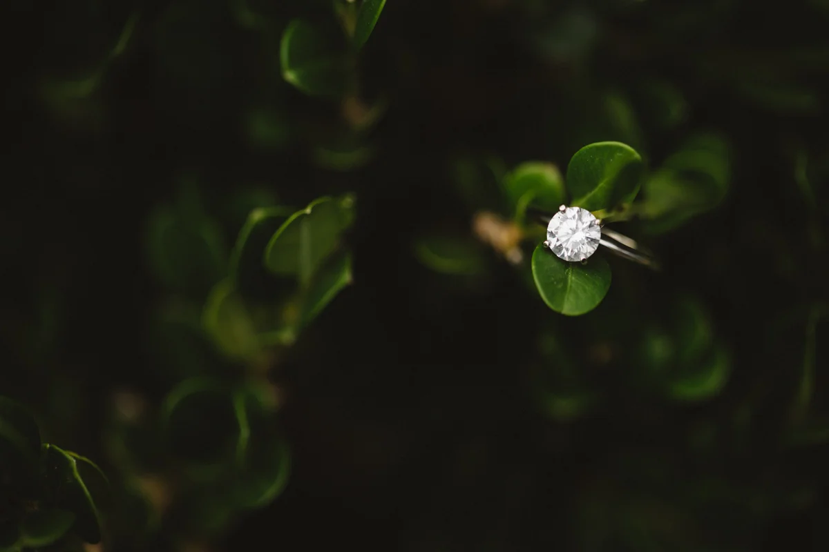 Peter Pan Mini Golf Engagement