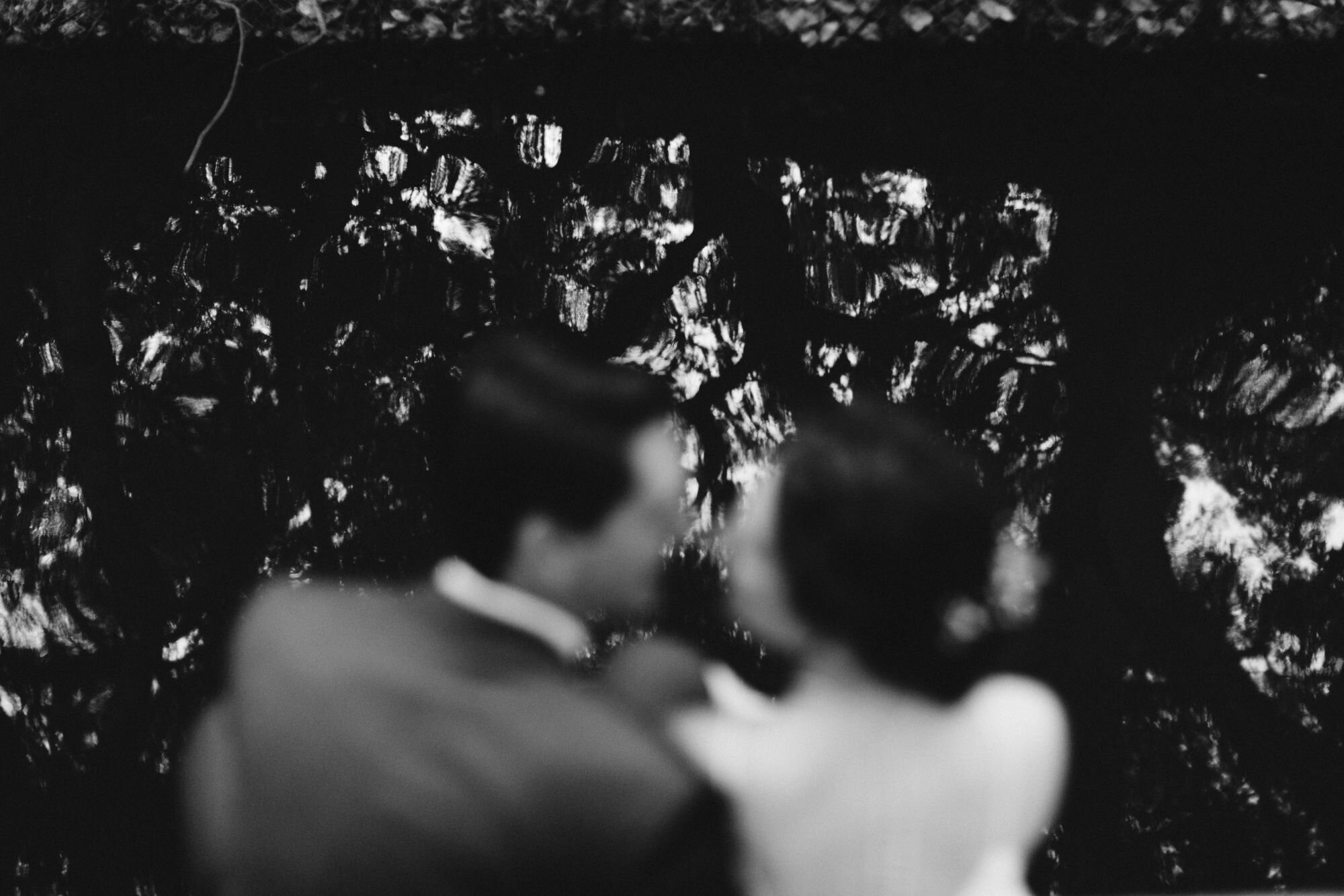 abbey_eric_intimate_backyard_wedding_kingsland194704.JPG