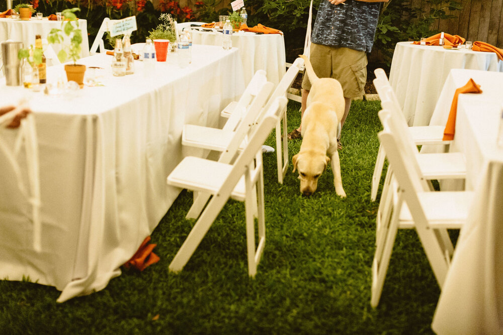 abbey_eric_intimate_backyard_wedding_kingsland214238.JPG