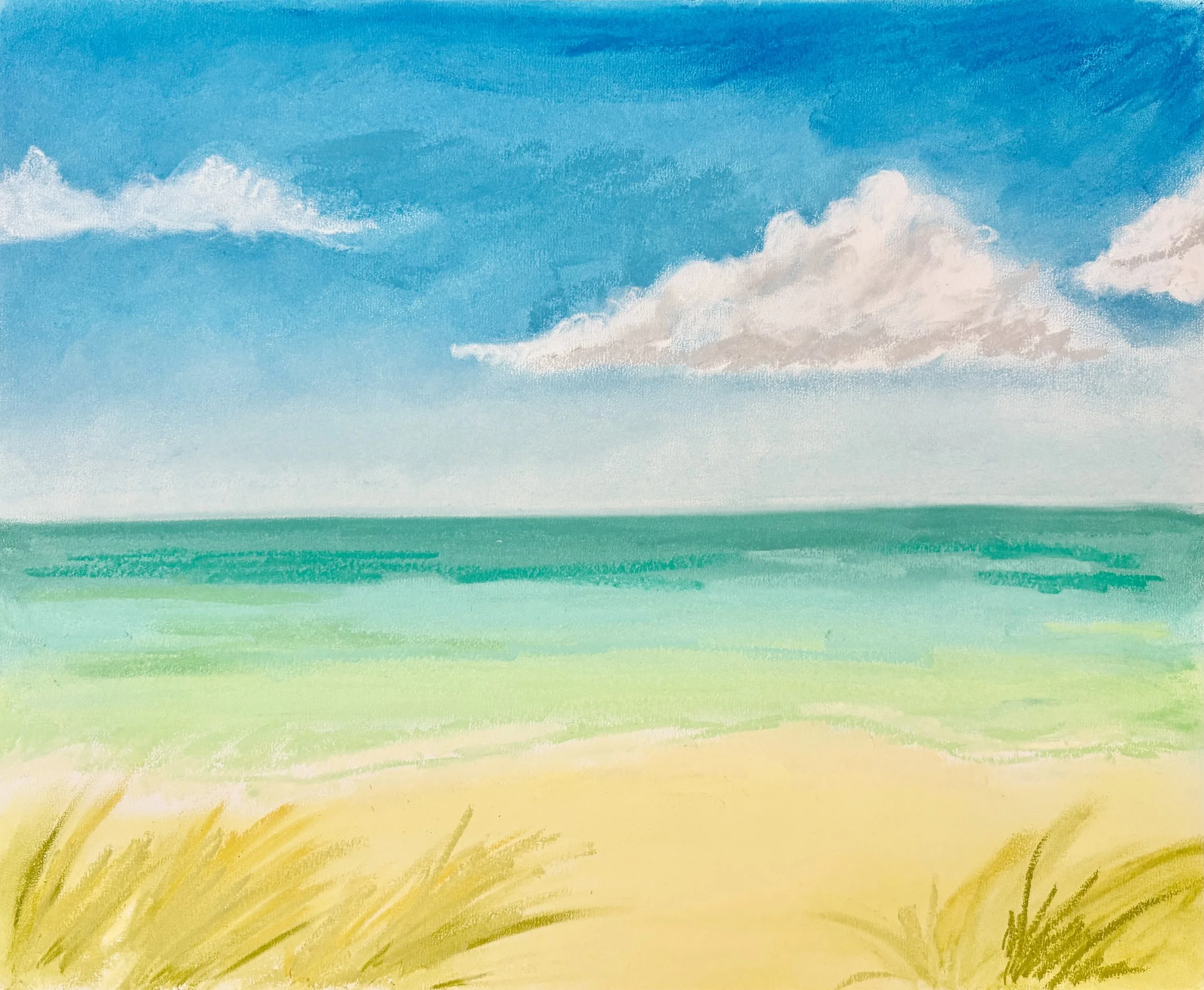 30A Beach Landscape