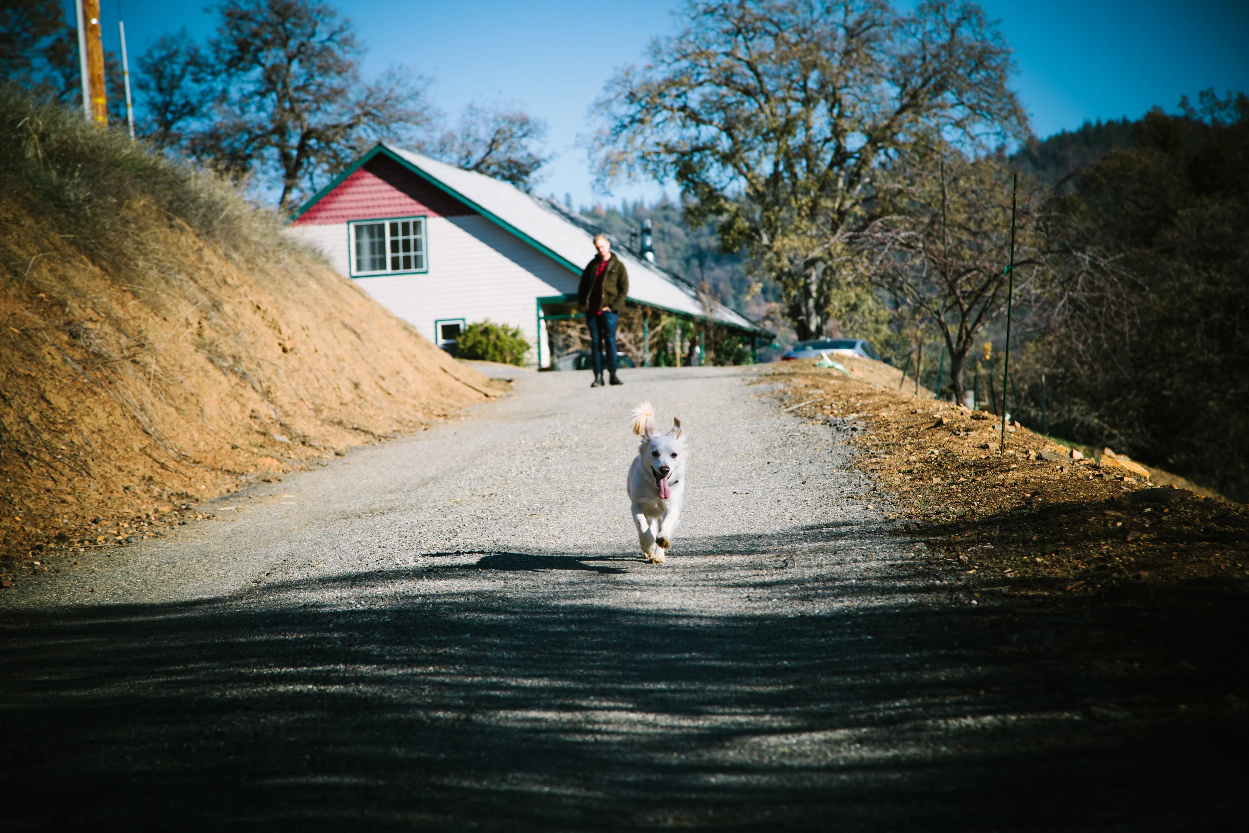 IMG_8536.jpg