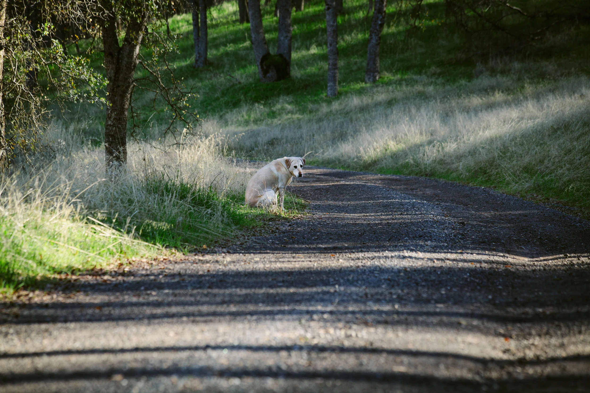 IMG_8217-Edit.jpg