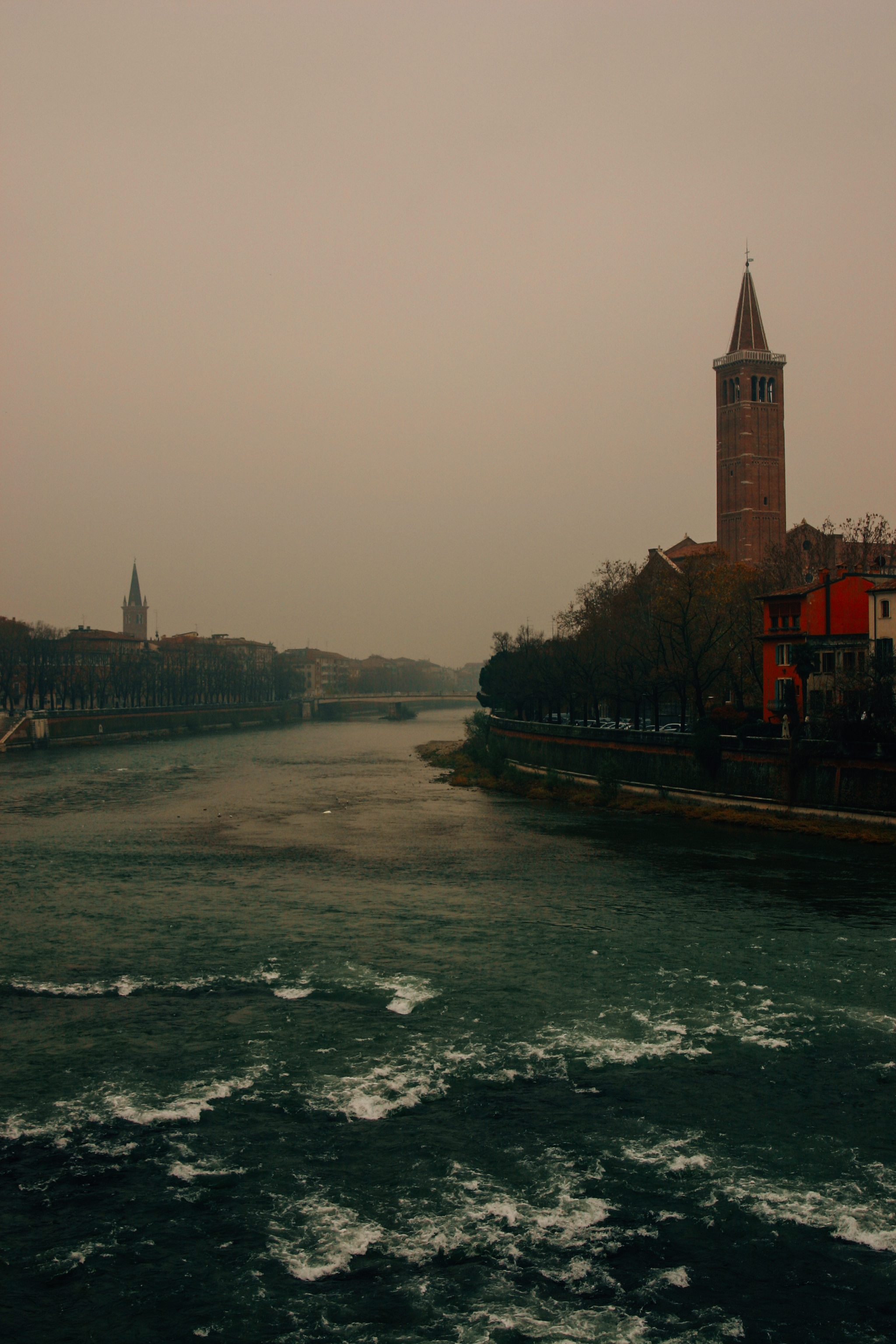IMG_7785.jpg