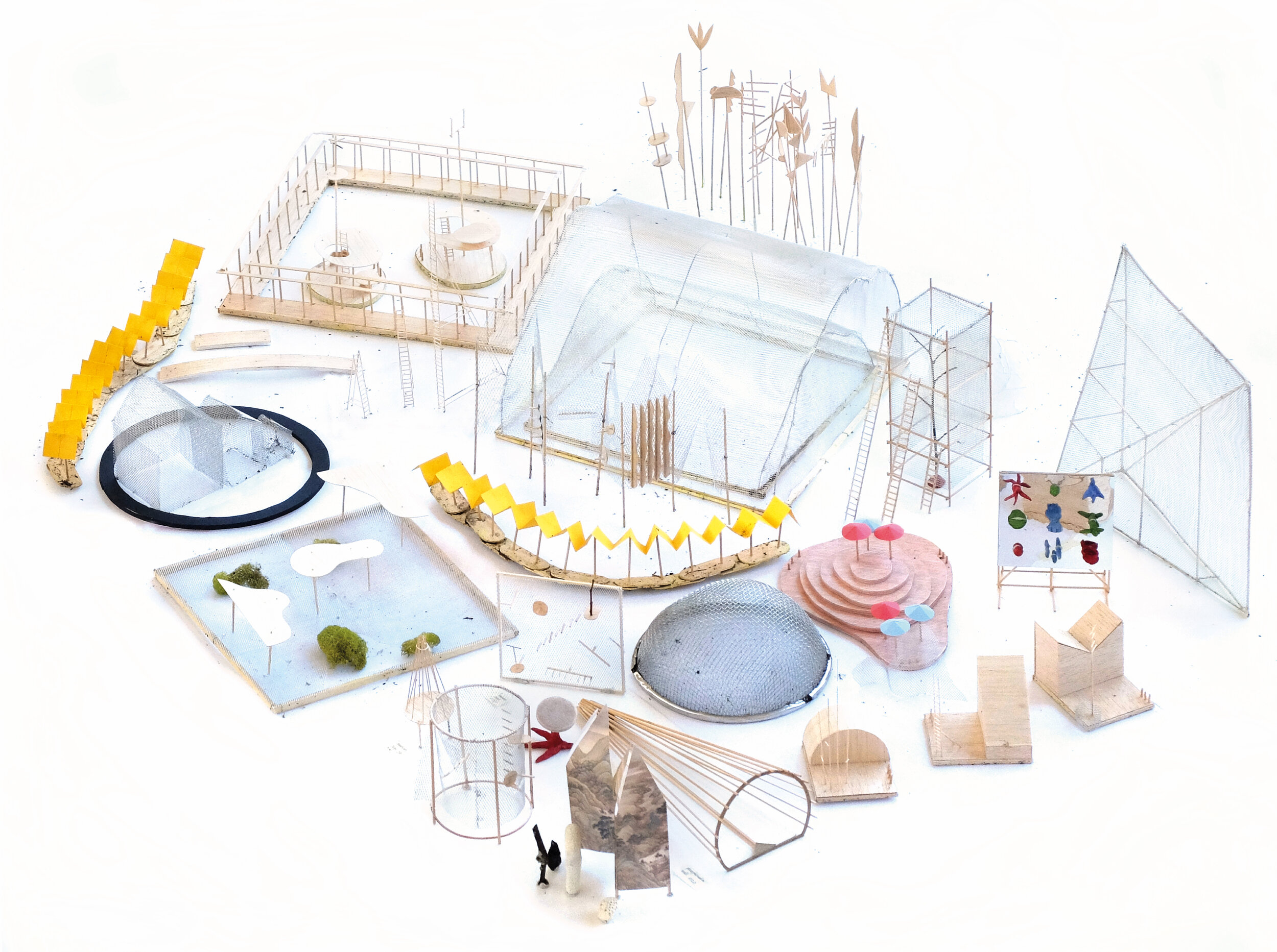 cages all together.jpg