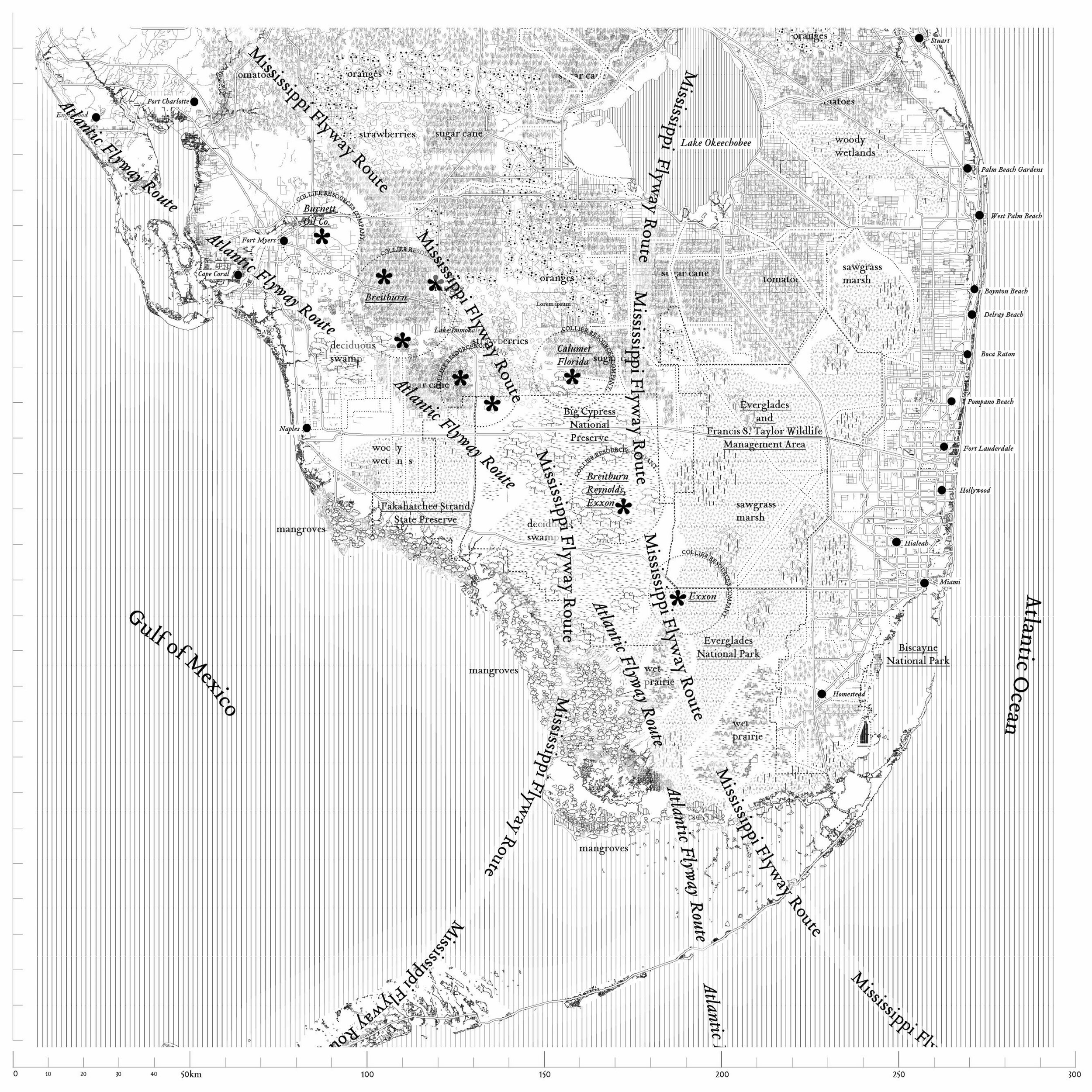 map1.jpg