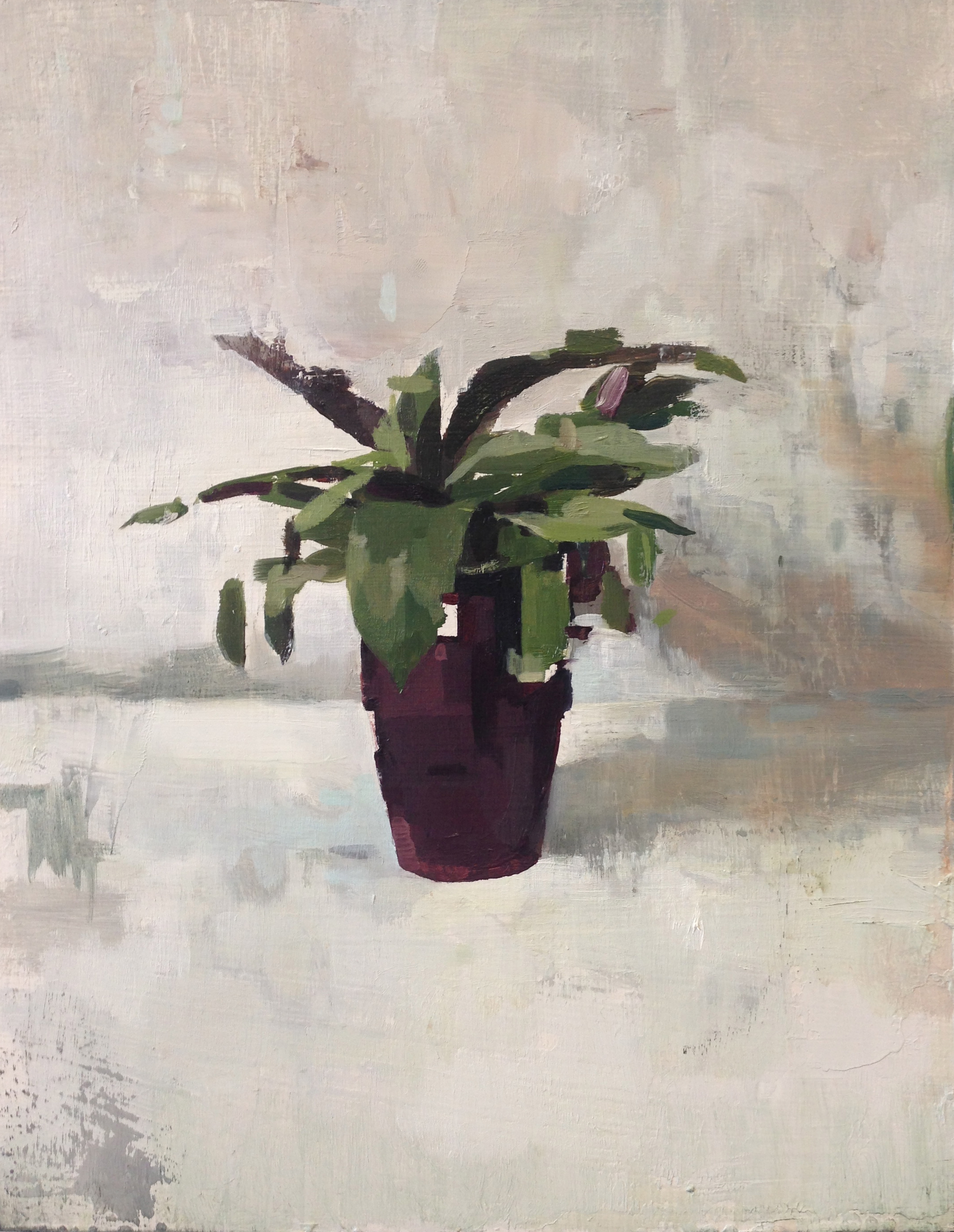 Pot Plant